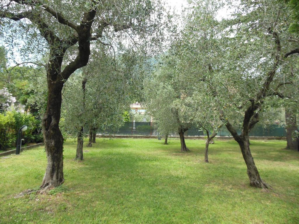 Residenza Hotel Garden Toscolano Maderno Dış mekan fotoğraf